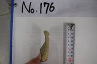 No.176（視点c）