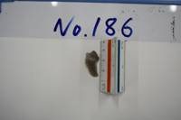 遺物No.186の写真