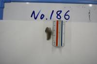 No.186（視点b）