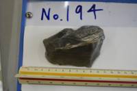 遺物No.194の写真