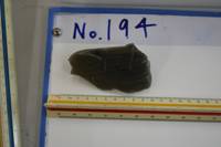 No.194（視点b）