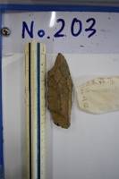 遺物No.203の写真
