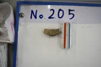 遺物No.205の写真