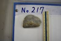 遺物No.217の写真