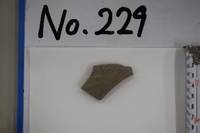 No.229（視点b）
