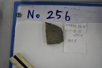 遺物No.256の写真