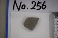 No.256（視点c）