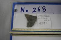 遺物No.268の写真