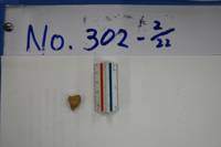 No.302-2（視点c）