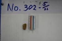 No.302-5（視点b）