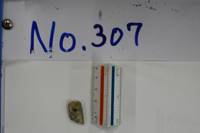 No.307（視点c）