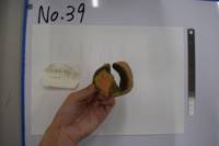 No.39（視点c）
