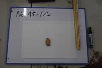 遺物No.45-1の写真