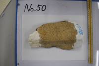 No.50（視点b）