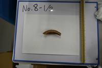 遺物No.8-1の写真