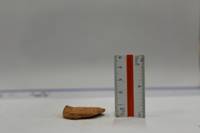 No.96-13（視点c）
