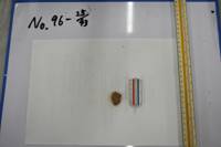 No.96-25（視点b）