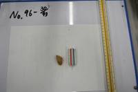 No.96-30（視点b）