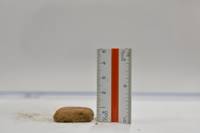 No.96-6（視点c）